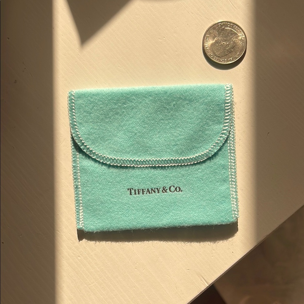 Tiffany & Co. Turquoise Jewelry Pouch